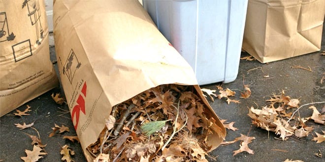 10-Top-Selling-Lawn-&-Leaf-Bags