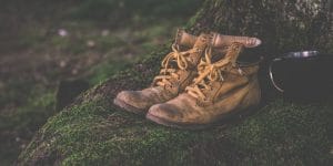 A pair of boots on a tree.